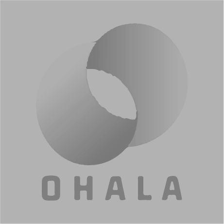 Zarini Homes Limited